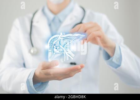 Medico femminile che tiene in mano il fegato virtuale. Organo umano Handrawn, foto sfocata, colori grezzi. Foto di stock del concetto di assistenza sanitaria ospedaliera Foto Stock
