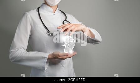 Dottore femminile che tiene in mano un disegno schizzoso virtuale della milza. Organo umano Handrawn, spazio di copia sul lato destro, colore grigio hdr. Ospedale sanitario s Foto Stock