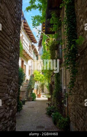 Volpedo, città storica sulle colline di Tortona, Piemonte, Italia. Vecchia strada Foto Stock