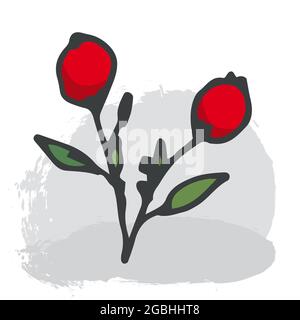 Illustrazione vettoriale, due bacche di rosa canina rossa e foglie verdi su sfondo bianco. Illustrazione vettoriale Illustrazione Vettoriale