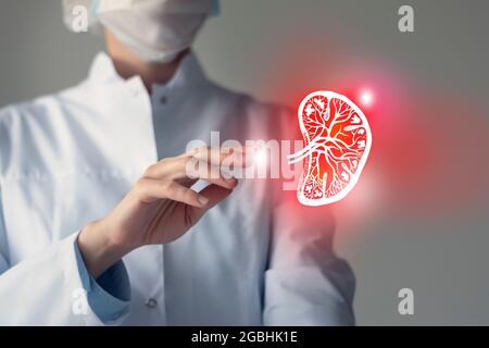 Dottore femminile che tiene in mano un disegno schizzoso virtuale della milza. Organo umano Handrawn, spazio di copia sul lato destro, colori di foto grezzi. Ospedale sanitario Foto Stock