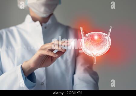 La dottoressa tocca la vescica virtuale in mano. Foto sfocata, organo umano cucito a mano, evidenziato in rosso come simbolo di malattia. Assistenza sanitaria ospedaliera Foto Stock