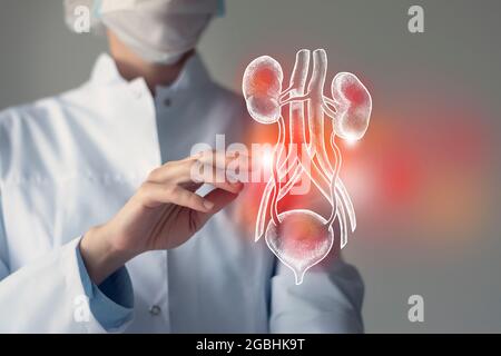 La dottoressa tocca la vescica virtuale e i reni in mano. Foto sfocata, organo umano cucito a mano, evidenziato in rosso come simbolo di malattia. Ospi sanitario Foto Stock