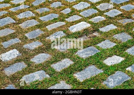 Sfondo di ciottoli con erba, Rio Foto Stock