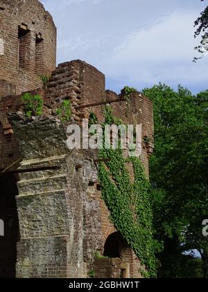 Una follia (rovina finta) con un edera contro le vecchie pareti, l'erba in primo piano e un cielo blu con le nuvole Foto Stock