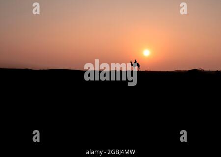 silhouette di deserto con cammello Foto Stock