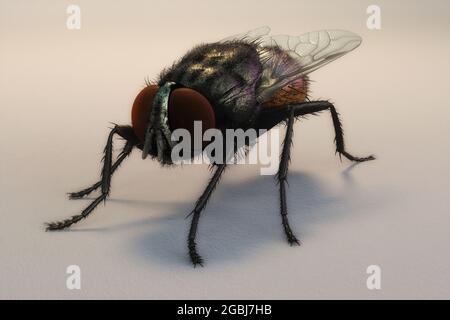 Illustrazione 3D artistica di una casa Foto Stock