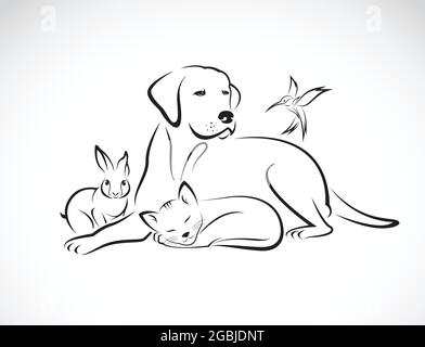 Vettore gruppo di animali domestici - cane, gatto, uccello, coniglio, isolato su sfondo bianco. Illustrazione vettoriale a livelli facilmente modificabile. Animali selvatici. Illustrazione Vettoriale