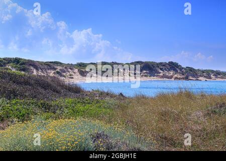 Riserva Naturale Torre Guaceto in Puglia: Vista sulla spiaggia e sulle dune. Macchia mediterranea: Un santuario naturale tra terra e mare. Foto Stock