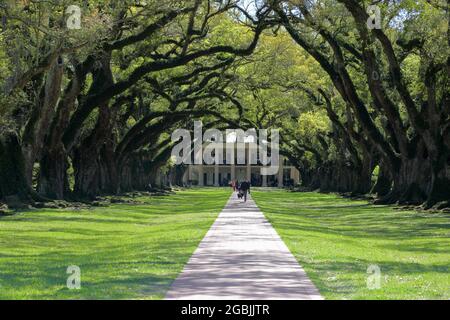 Geografia / viaggio, USA, Louisiana, Vacherie, Oak Alley Plantation (1837-39) River, Vacherie, DIRITTI-AGGIUNTIVI-CLEARANCE-INFO-NON-DISPONIBILE Foto Stock