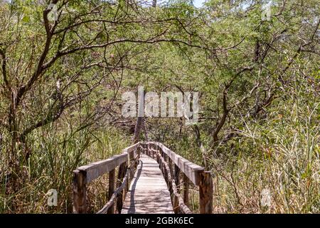 Ponte rustico in legno sui sentieri della riserva naturale Curu. Crociera sull'estuario e attraverso le foreste di mangrovie. Pacifico Puntarenas di Cos Foto Stock