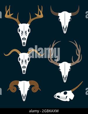 Set di teschi con corna di animali diversi Illustrazione Vettoriale