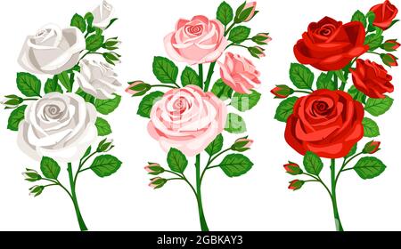 Bouquet bianchi, rossi e rosa con germogli di rose Illustrazione Vettoriale