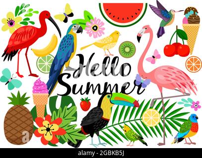Ciao estate set di uccelli, fiori e frutta Illustrazione Vettoriale