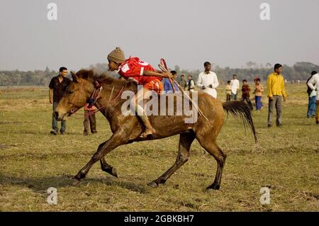 Un fantino che corre verso la linea di arrivo. La corsa di cavalli, o ‘Ghora Dabor’, è un evento sportivo tradizionale che si svolge su strada fangosa o su campo aperto, subito dopo la raccolta in inverno. Tularampur, Jessore, Bangladesh. 20 gennaio 2008. Foto Stock