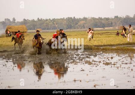 La corsa di cavalli, o ‘Ghora Dabor’, è un evento sportivo tradizionale che si svolge su strada fangosa o su campo aperto, subito dopo la raccolta in inverno. Tularampur, Jessore, Bangladesh. 20 gennaio 2008. Foto Stock