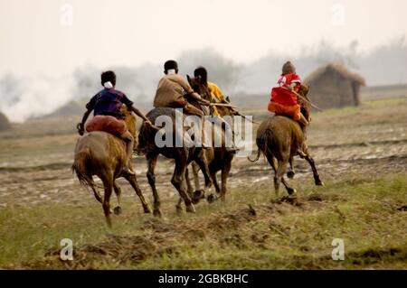 La corsa di cavalli, o ‘Ghora Dabor’, è un evento sportivo tradizionale che si svolge su strada fangosa o su campo aperto, subito dopo la raccolta in inverno. Tularampur, Jessore, Bangladesh. 20 gennaio 2008. Foto Stock