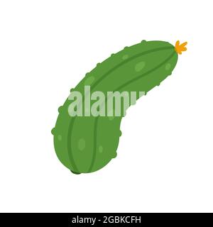 Cetriolo vegetale fresco prodotto vegetale, produzione biologica di cibo agricolo illustrazione vettoriale. Cartoon sano cetriolo verde crudo per dieta vegetariana o vegana isolato su bianco Illustrazione Vettoriale