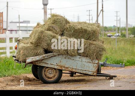 Fieno confezionato in un vecchio rimorchio stabile. Foto Stock