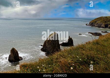 Litorale della Costa del rame nella contea di Waterford, Irlanda. Foto Stock