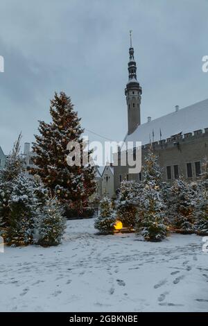 TALLINN, ESTONIA - 04 GENNAIO 2021: Vista delle strade della città vecchia in inverno Moody giorno Foto Stock