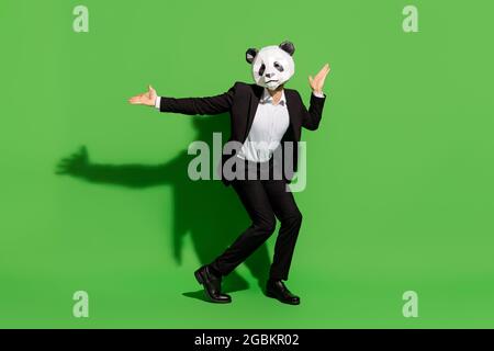 Vista a tutta lunghezza delle dimensioni del corpo di un uomo di classe che indossa una maschera da panda danzante che si diverte isolate su uno sfondo di colore verde brillante Foto Stock