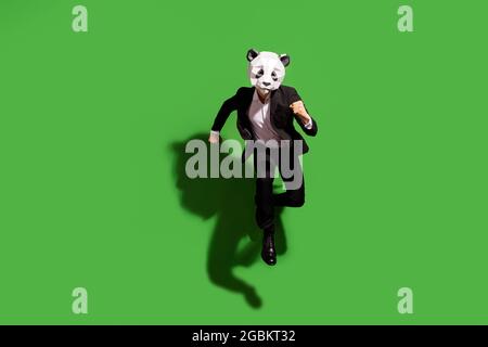 Vista a tutta lunghezza delle dimensioni del corpo di un uomo attivo di classe che indossa una maschera di panda che salta in corsa isolata su uno sfondo di colore verde brillante Foto Stock