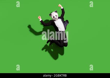 Vista a tutta lunghezza del corpo di un uomo di classe che indossa una maschera di panda che salta gioendo ballando isolato su sfondo di colore verde brillante Foto Stock