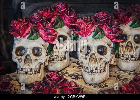 Gruppo di teschi di decorazione di Halloween con le testate di rosa che si siedono sui libri di aspetto acent - scuro e Creepy Foto Stock