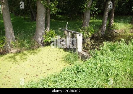 Bezzetto di calcestruzzo in un fossato con una slitta azionata manualmente. Nel Nord Olanda, Paesi Bassi. Estate, agosto. Foto Stock