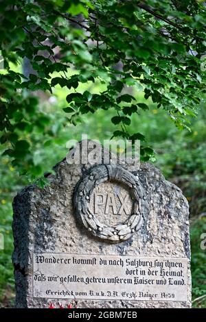 Pietra commemorativa nel Cimitero della Grande Guerra al 59° Reggimento austriaco - Rainer. Altopiano dei Fiorentini, Arsiero, provincia di Vicenza, Veneto, Italia, Europa. Foto Stock