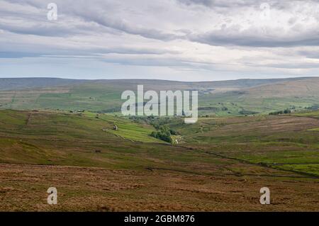 Le pecore pascolano sopra la valle di Weardale nel paesaggio della brughiera delle colline del North Pennines dell'Inghilterra. Foto Stock