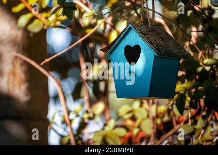 Blu Birdhouse in un giardino in autunno Foto Stock