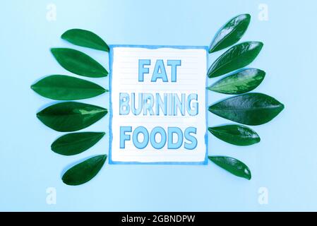 Segno che mostra Fat Burning Foods. Parola scritta su produrre perdita di grasso stimolando il metabolismo per ridurre l'appetito natura tema Presentazione idee e. Foto Stock