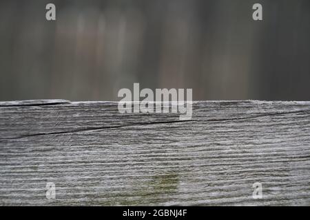 Podio in legno. Piedistallo in legno naturale di colore grigio su sfondo sfocato. Foto di alta qualità Foto Stock