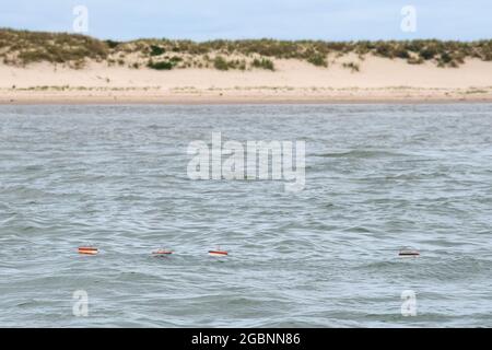 Nordsee, Germania. 22 luglio 2021. I Drifters con cui si possono osservare le condizioni attuali nel Mare di Wadden nuotano fuori Spiekeroog. Il progetto "Good Coast" delle Università di Hannover, Oldenburg e Braunschweig mira a indagare su come la protezione costiera e la protezione degli ecosistemi possano essere riconciliate e funzionare anche a lungo termine. I ricercatori utilizzano i cosiddetti laboratori reali per questo scopo. Credit: Sina Schuldt/dpa/Alamy Live News Foto Stock