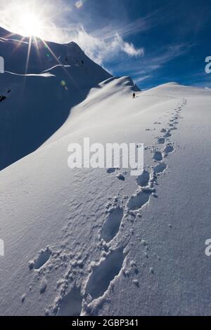 Un alpinista inserisce i gradini nella neve invernale sul crinale sud-orientale del Monte Barff, Mount aspiranti National Park, Nuova Zelanda Foto Stock