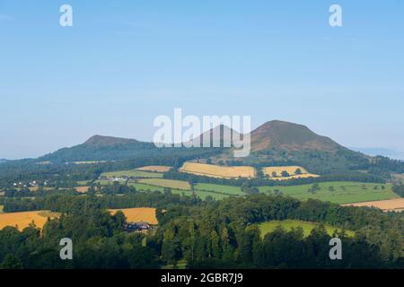 Una vista delle colline di Eildon da Scott's View nei confini scozzesi.Scotland, UK Photo Phil Wilkinson / Alamy Foto Stock