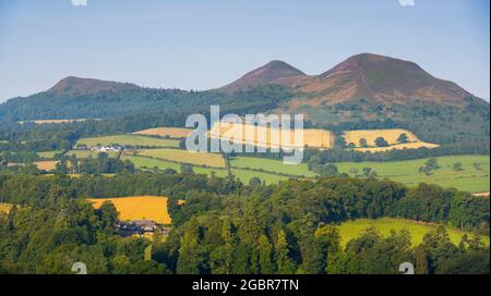 Una vista delle colline di Eildon da Scott's View nei confini scozzesi.Scotland, UK Photo Phil Wilkinson / Alamy Foto Stock