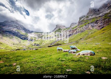 Il Cirque de Troumouse è un circo glaciale situato nel centro della catena dei Pirenei, nel dipartimento degli alti Pirenei in Francia, formando il bordo Foto Stock