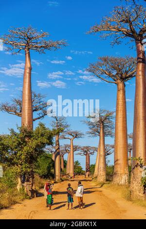 MORONDAVA, MADAGASCAR - 9 GIUGNO. La gente del posto si riunisce sul viale dei baobab - una delle meraviglie del nostro pianeta, l'icona del Madagascar. Foto Stock