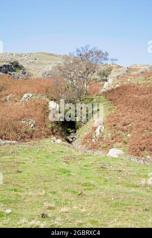 Un becco che scorre sotto Dow Crag e l'Old Man of Coniston Coniston il Lake District Cumbria Inghilterra Foto Stock