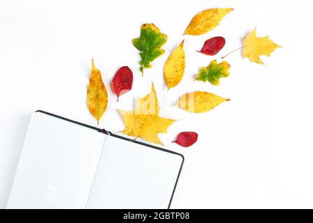 Ciao autunno. Taccuino vuoto e foglie gialle cadenti su sfondo bianco. Inizio della stagione autunnale. Disposizione piatta, spazio di copia. Foto Stock