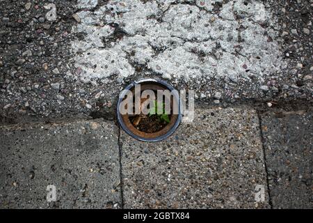 Primo piano di una copertura di tombino, Hydrant in pietre di ghiaia grigie per l'industria edile. Sfondo a forma geometrica. Copertura arrugginita sulla strada. Contro la strada Foto Stock