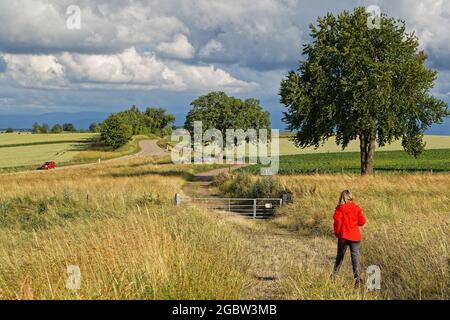 HUNSPACH, FRANCIA, 24 giugno 2021: Passeggiata nei campi dei paesaggi dell'Alsazia settentrionale Foto Stock