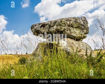Il Devil's Den vicino a Marlborough nel Wiltshire. Foto Stock