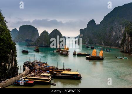 Barche nel porto, Halong Bay, Vietnam. Foto Stock