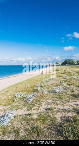 La spiaggia di la Phibie sull'isola di Oléron, in Francia sotto un bel cielo blu Foto Stock