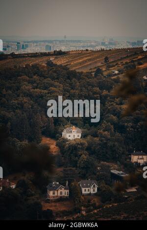 Immagine verticale di case rurali circondate da alberi sulla collina Foto Stock