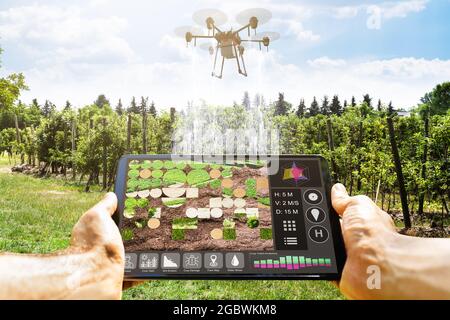 Tecnologia Copter Field Spray. Agricoltura Farm Drone Foto Stock